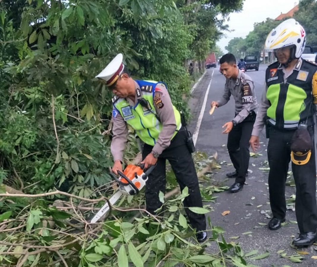 Badung Police officers clear falling trees on Jalan Raya Lukluk, Mengwi, Badung.