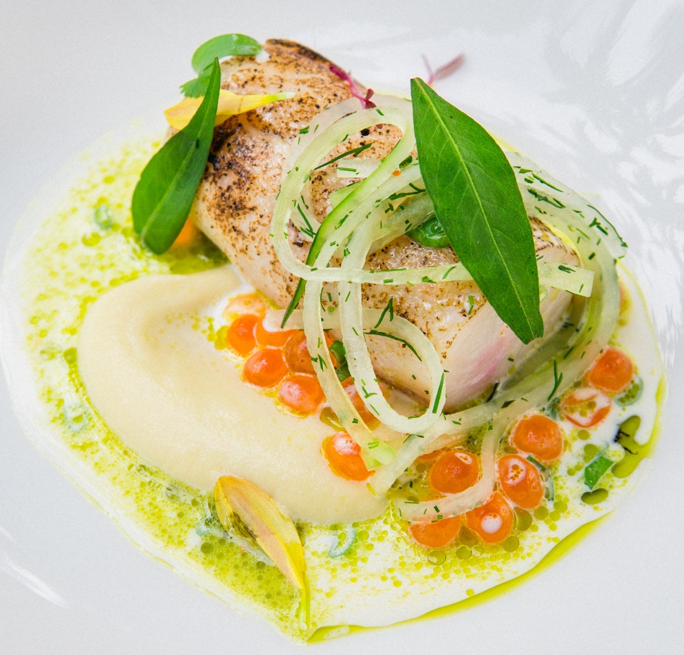 Slow Cooked Hamachi, Bangkuang Puree, Salted Cucumber, Fresh Laksa Leaves, and White Wine Jus⁠.