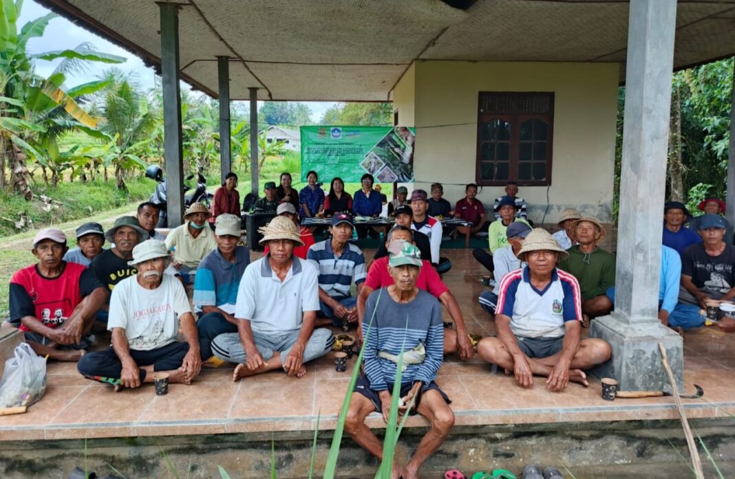 Utilizing Rats as Fertilizer: UNMAS Denpasar and Subak Uma Jero Farmers’ Solution for Pest Control and Crop Improvement