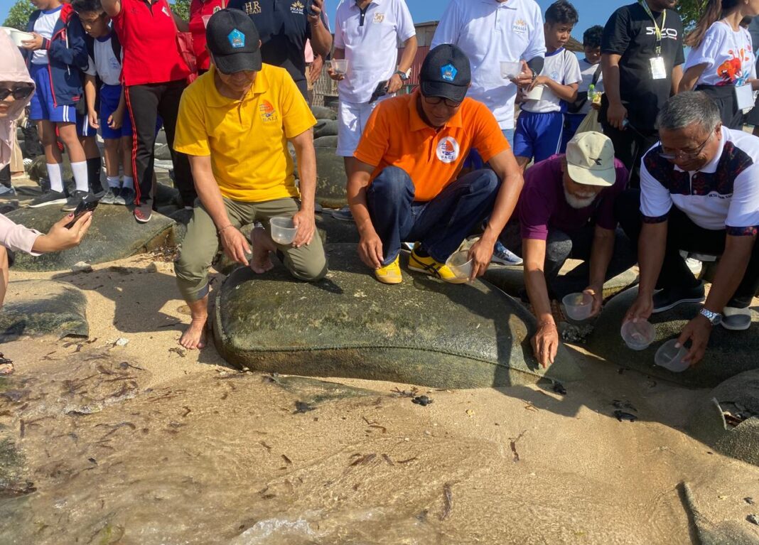 Sanur Village Festival 2024 Invites Sanur Communities for Turtle Hatchlings Release and Beach Cleanup