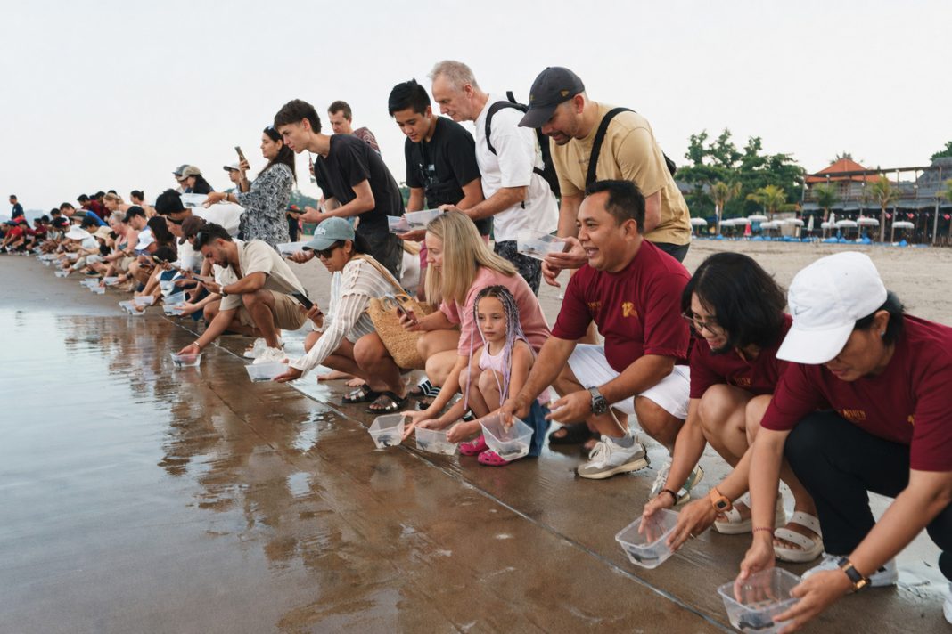 THE HAVEN Bali Seminyak Celebrates 17 Years by Giving Back to Nature Through Turtle Release